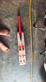 Ramana review photo