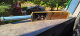 Sahid Pathan review photo