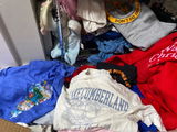 Dana Simpson Heilig review photo