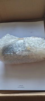 Josephine review photo