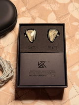 KENIN WLADIMIR PEREZ TORRES review photo