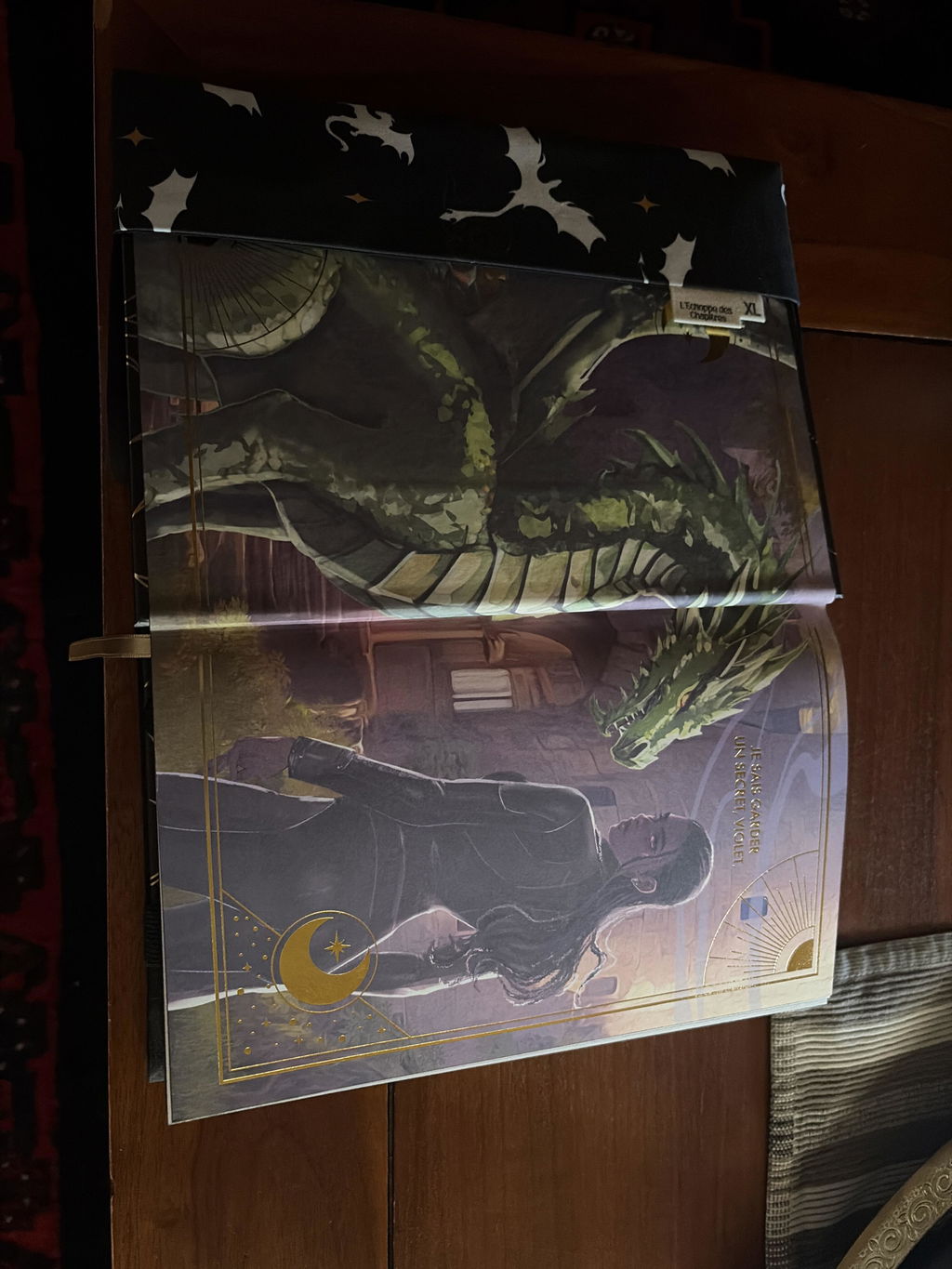 Couvre-livre - Dragonnière