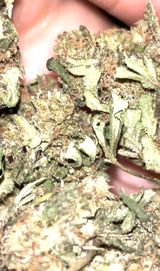 Teksmoke420 review photo