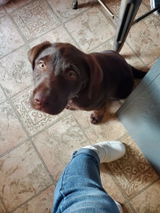 Photo de l'avis de Sylvie M.