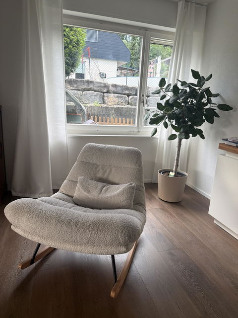 Ficus audrey sur tronc - pot 32 H140