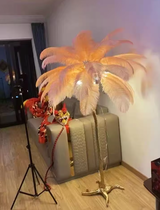Phoebe F. review photo