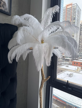 Isabellah F. review photo