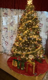 Doreen Dileo review photo