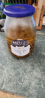 Robert Passarelli review photo
