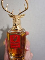 Pasquale B. review photo