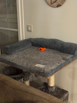 thierry POTHIER review photo