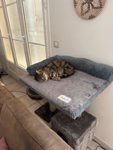 thierry POTHIER review photo