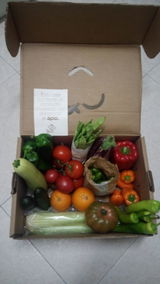 CieNTi review photo
