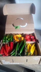 CieNTi review photo