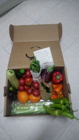 CieNTi review photo
