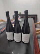 CARLOS ROMAN HUICAB CHI review photo