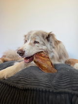 Theflashdogs review photo