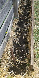 Anonyme review photo