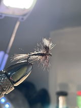 Donovan C. review photo