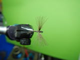 Stefano S. review photo