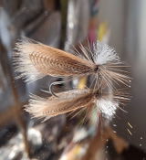 Pascal P. review photo