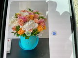 Sunny Delight in a Tiffany color box