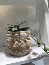 audrey juneau review photo