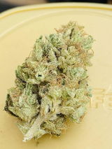 El E. review photo