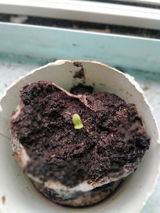 Patricio C. review photo