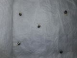 Denni M. review photo