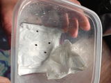 Andres S. review photo