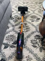 Tawana Franecki review photo