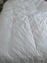 Ahmet A. review photo