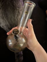 Chaz review photo