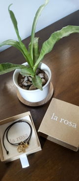 D.O. review photo