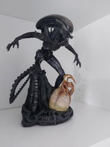 Yannick Gancel review photo
