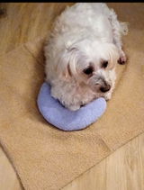 Tapis auto-chauffant naturel déhoussable pour chien et chat