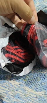 Alex Bigot review photo