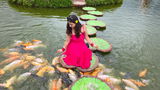 Ayushi review photo