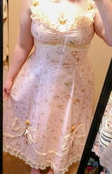 Ariel review photo