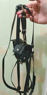 S.R. review photo