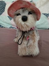 Addie review photo
