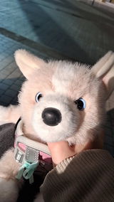 Emmi review photo