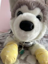 Phoebe review photo