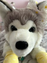 Phoebe review photo