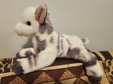 Maddi review photo