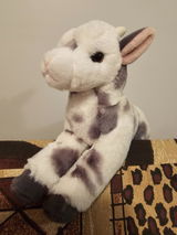 Maddi review photo