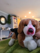 Anonymous review photo