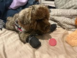 Anonymous review photo