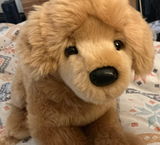 Bella-Rose review photo